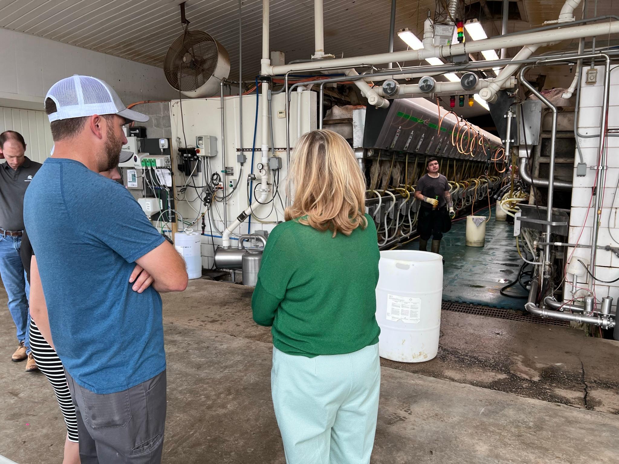 People standing in a milking parlor